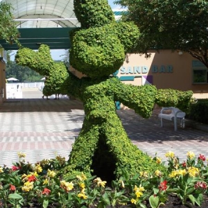 MM topiary at the CR