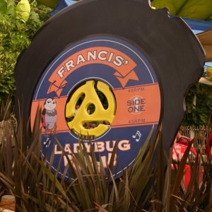Francis-Ladybug-Boogie_01