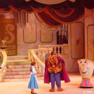 Beauty_and_the_Beast_Stage_Show_14