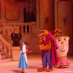 Beauty_and_the_Beast_Stage_Show_15