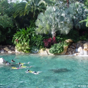 Discovery_Cove_Tropical_Pool_16