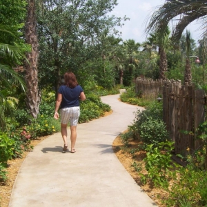 Pathway to Pool.
