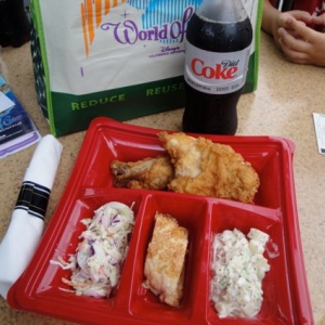 woc picnics american 1