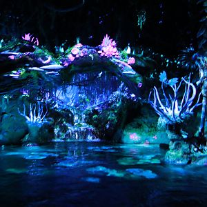 Na'vi River Journey - Bioluminescence