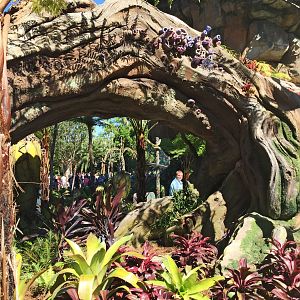 Flora - Pandora World of Avatar
