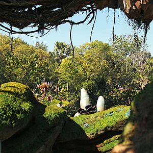 Pandora World of Avatar - plantlife