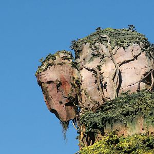 Pandora - Floating mountain crop