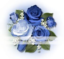 blueroses.jpg