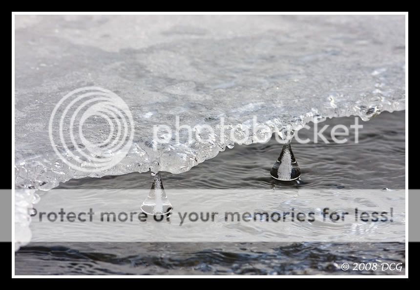 IceBells-07acr.jpg
