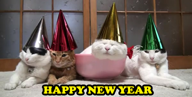 HAPPY-NEW-YEAR-CATS-in-cute-kitty-hats.jpg