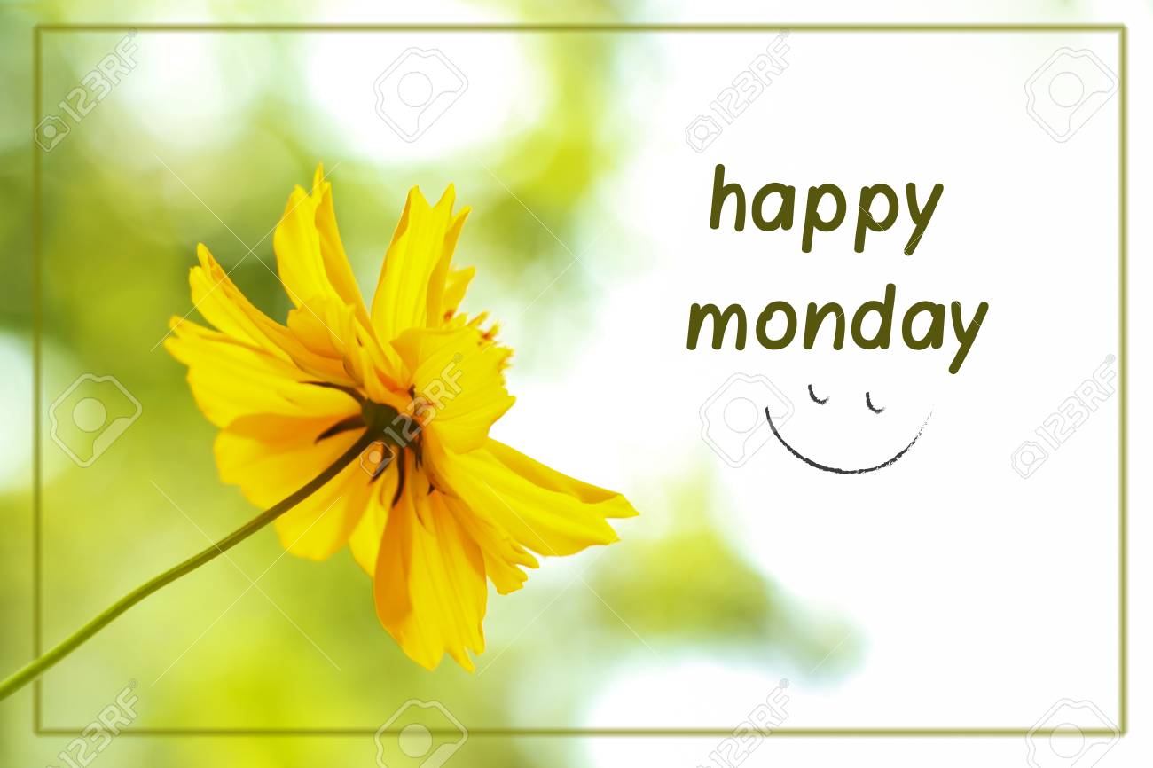 69662761-abstract-blurred-yellow-flower-with-the-text-happy-monday-can-use-for-a-postcard-or-post-in-website-.jpg